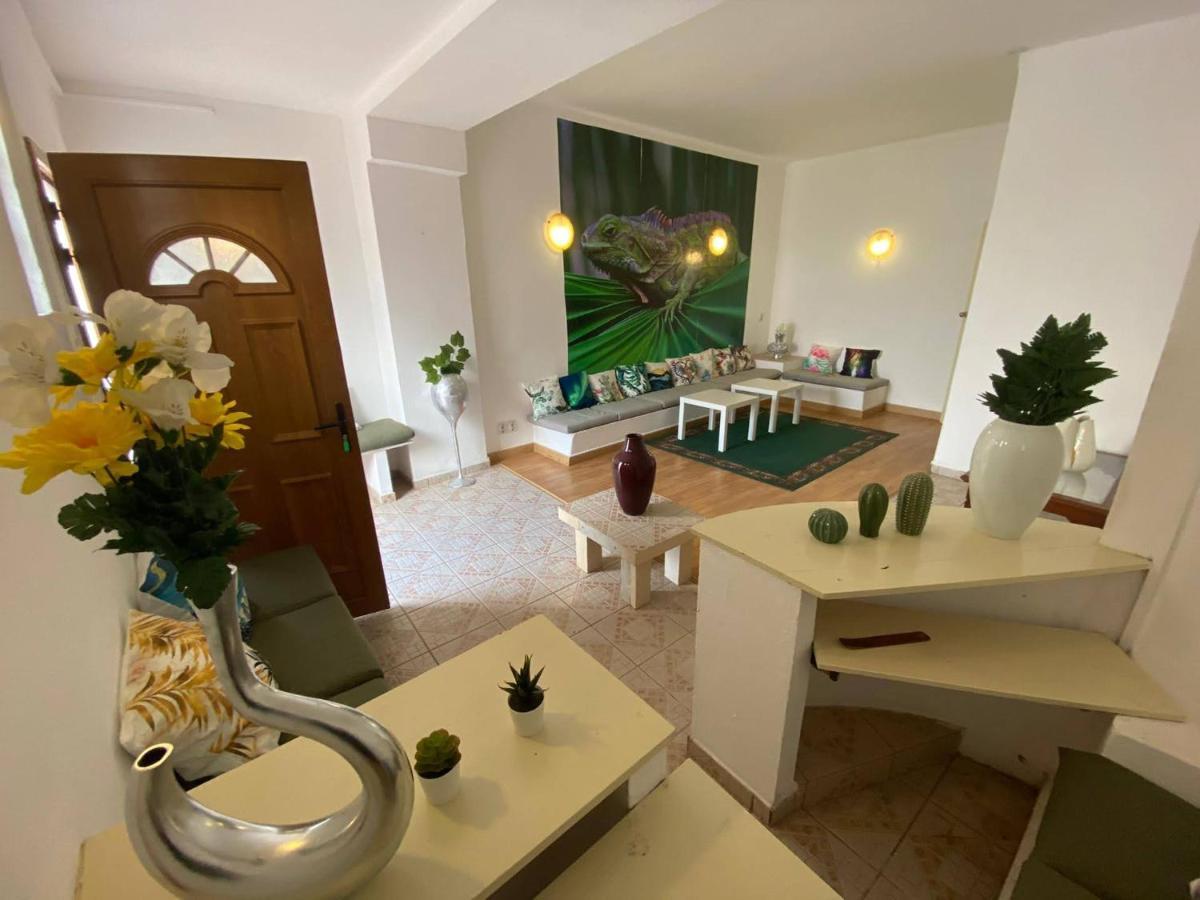 Iguana Guesthouse ラゴス エクステリア 写真
