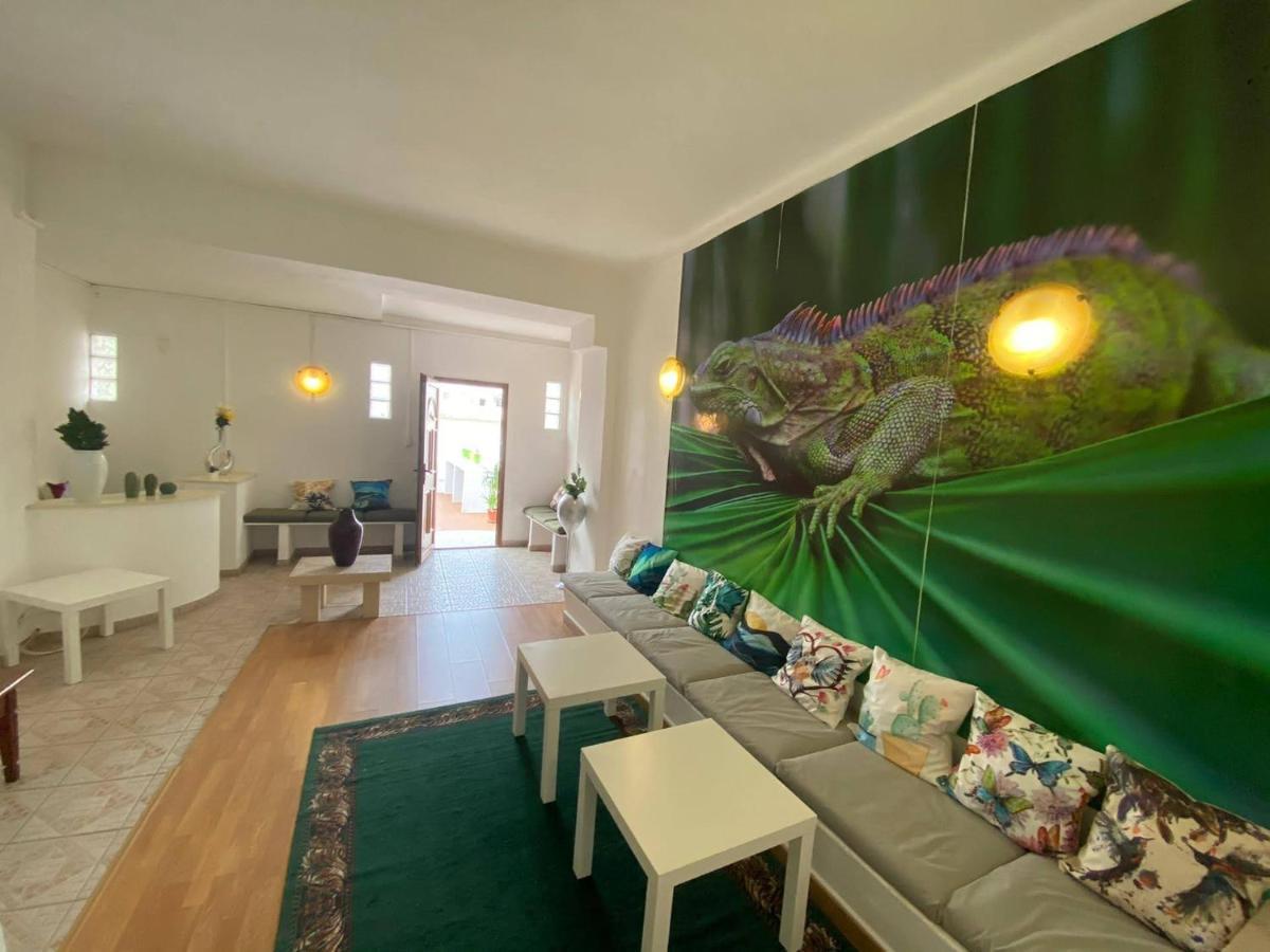 Iguana Guesthouse ラゴス エクステリア 写真